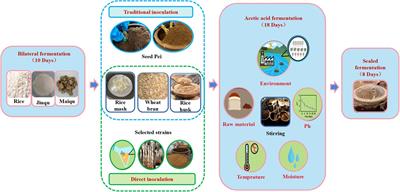 Inoculation strategies affect the physicochemical properties and flavor of Zhenjiang aromatic vinegar